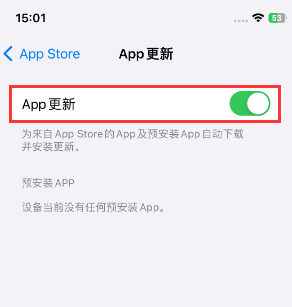 兴宁苹果15维修中心如何让iPhone15APP自动更新