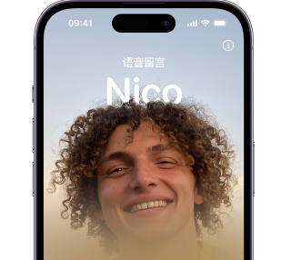 兴宁苹果15服务站分享iPhone15实时语音留言开启方法 