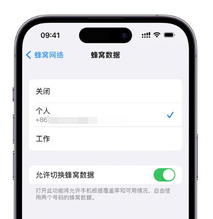 兴宁苹果维修服务分享如何在iPhone上使用双卡 