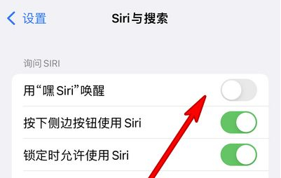 兴宁苹果13维修分享iPhone 13怎么唤醒 Siri  