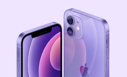 兴宁苹果手机维修分享紫色版iPhone 12有什么技术亮点 