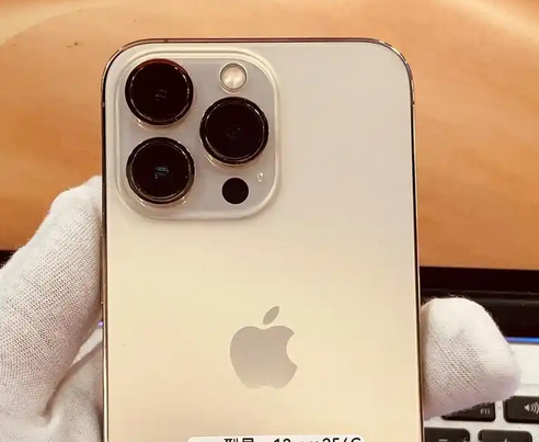 兴宁苹果13维修中心分享如何在iPhone13上设置动态壁纸 兴宁苹果13维修中心分享如何在iPhone13上设置动态壁纸